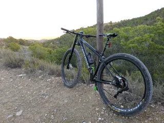 Bicicleta Cannondale Lefty F29