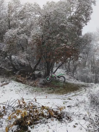 Gas Gas Delta 250 moto trial