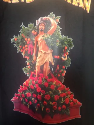 Camiseta San Sebastián Talla L