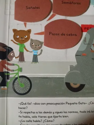 Libro Pequeño Peatón Patricia G.