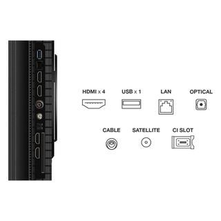 TV TCL QLED 55 UHD 4K Smart TV