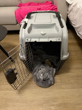 Transportín Apolo Plus 4 Gris