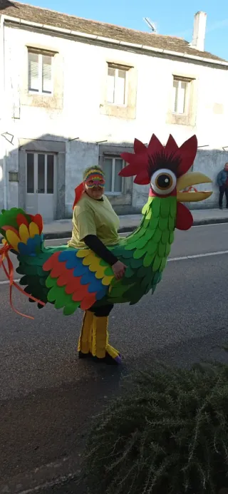 Disfraz Gallo y Gallinas Multicolor