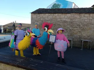 Disfraz Gallo y Gallinas Multicolor