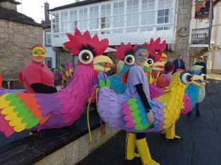 Disfraz Gallo y Gallinas Multicolor