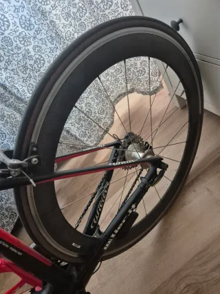Wilier Triestina GTS Carbono Ultegra Talla XS