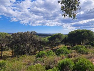 Terreno en venta en Ayamonte ciudad en Ayamonte