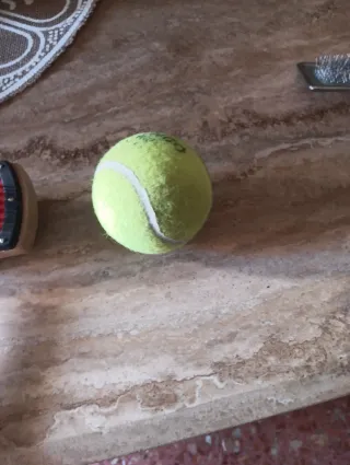 Cepillo para perro + pelota