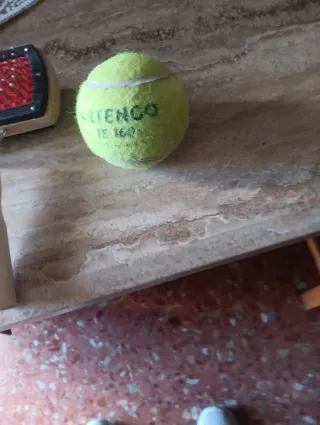 Cepillo para perro + pelota