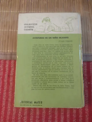 "Aventuras de un niño irlandés" de Julio Verne.
