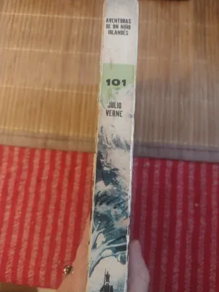 "Aventuras de un niño irlandés" de Julio Verne.