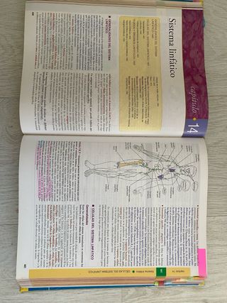 Histología: Texto y Atlas color con Biología Ce...
