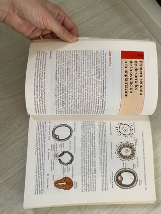 Langman Embriología médica