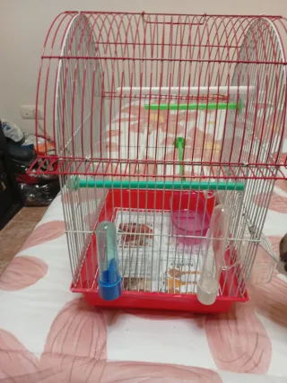 Jaula para pájaros roja y transparente