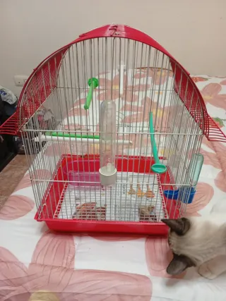Jaula para pájaros roja y transparente