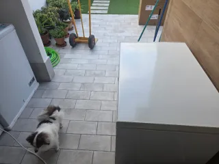 Congelador arcon Hisense Horizontal 80cm