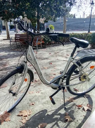 Bicicleta de paseo plateada