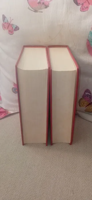 Diccionario tecnico frances-españl