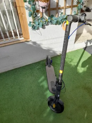 Patin Eléctrico Xiaomi