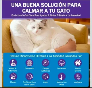 Kit Difusor y Recargas Feromonas Gatos