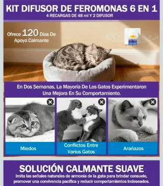 Kit Difusor y Recargas Feromonas Gatos
