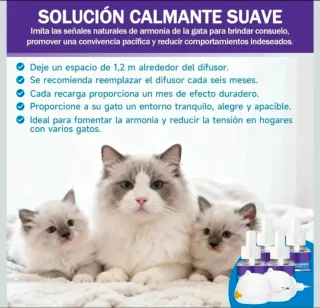 Kit Difusor y Recargas Feromonas Gatos