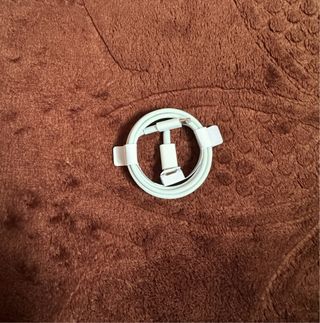 Cavo iPhone Originale Apple