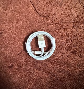 Cavo di ricarica iPhone Apple USB a Lightning