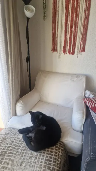 Sillón Ikea Rocksjon