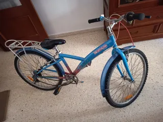 Bicicleta Negra y bicicleta azul