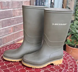 Botas de agua Dunlop talla 33