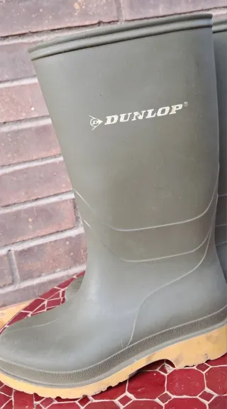 Botas de agua Dunlop talla 33