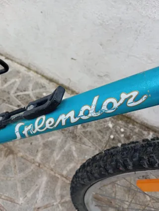 Bicicleta de montaña azul