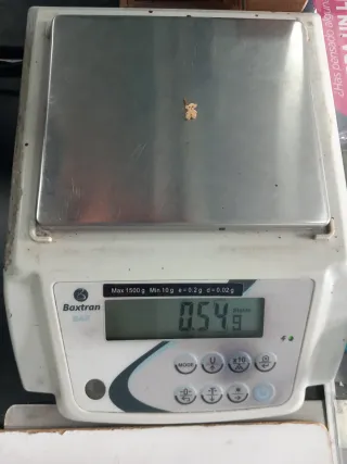 Pendiente de Oro 18K (4-69)