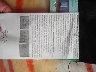 Protezioni 7pz per pattini, bicicletta, skate tg L