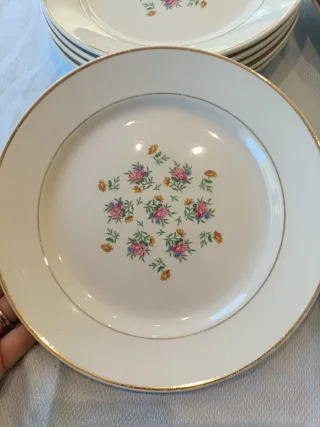 Vajilla para 6 Porcelana Francesa Limoges