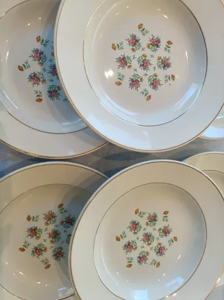Vajilla para 6 Porcelana Francesa Limoges