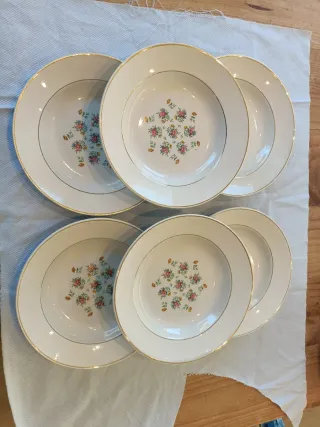 Vajilla para 6 Porcelana Francesa Limoges