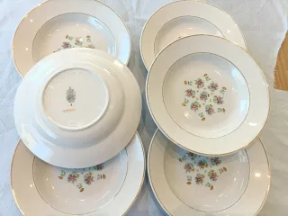 Vajilla para 6 Porcelana Francesa Limoges