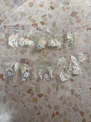 Tips y Moldes para Uñas