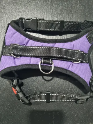 Arnés perro mediano púrpura