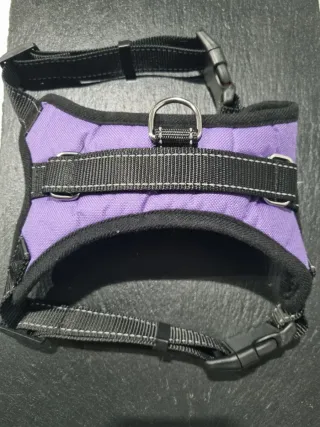 Arnés perro mediano púrpura