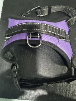 Arnés perro mediano púrpura