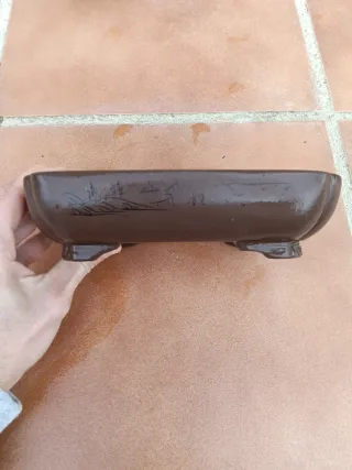 Maceta bonsai yixing