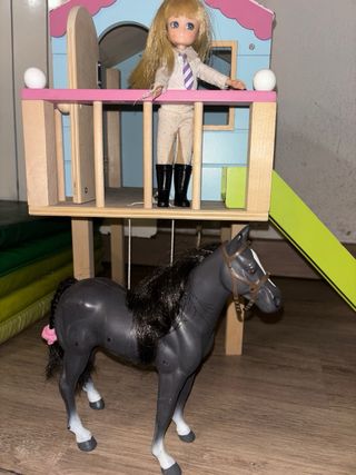 Casita de muñecas con tobogán y columpio