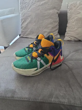 Nike Lebron James Zapatillas Multicolores