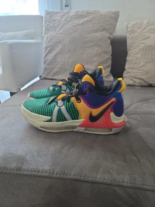 Nike Lebron James Zapatillas Multicolores