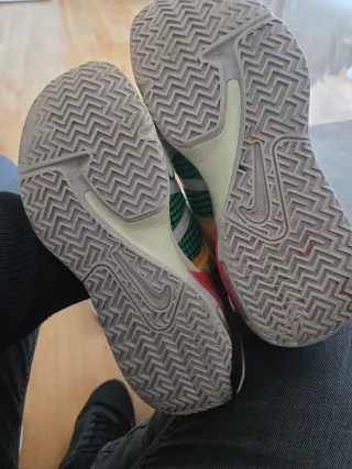 Nike Lebron James Zapatillas Multicolores