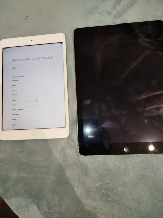 2 iPad Mini per parti