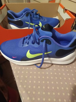 Zapatillas Nike Azules y Verdes